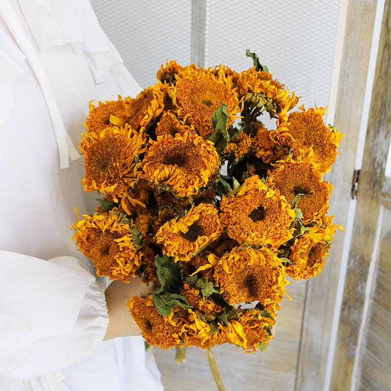 Sunflower Teddy Dried Flower Bouquet - Yunnan Natural Air-Dried Arrangement for Living Room Decor