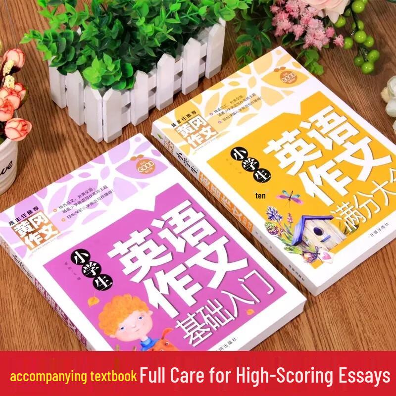 Primary School Composition & Writing Practice Books