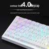 Contour 4.0 Magnetic Switch Keyboard with Gradient, Side-Engraved PBT Keycaps (mad60ace68win60)