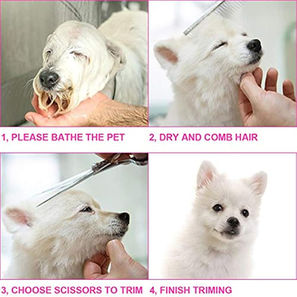 Hondentrimschaarset Veiligheid Ronde Punten Huisdier Hond Kat Trimscharen Set Uitdunnende roestvrijstalen Rechte Gebogen Scharen Kam