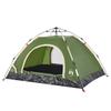 Vidaxl Tourist Tent, 2-Person, Green, Quick Setup