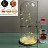 Luminous Sea Urchin Glass Dome with Preserved Flowers and String Lights