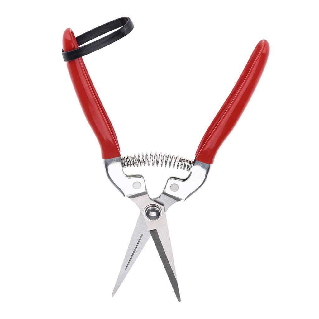 1Pc Sturdy Fruit Tree Bonsai Gardening Pruning Shear Garden Scissors Pruner Tool Straight Blade