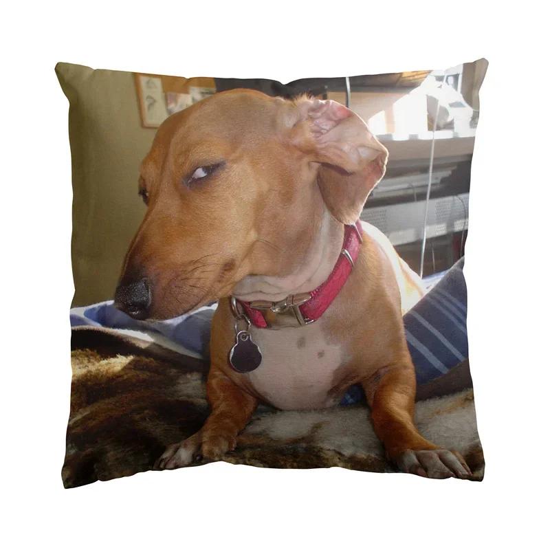 

18 x 18 Suspicious Sus Side Eye Dachshund Dog Square Throw Pillow Cushion Covers Cases Pillowcases 45cm x 45cm 16x16Inch