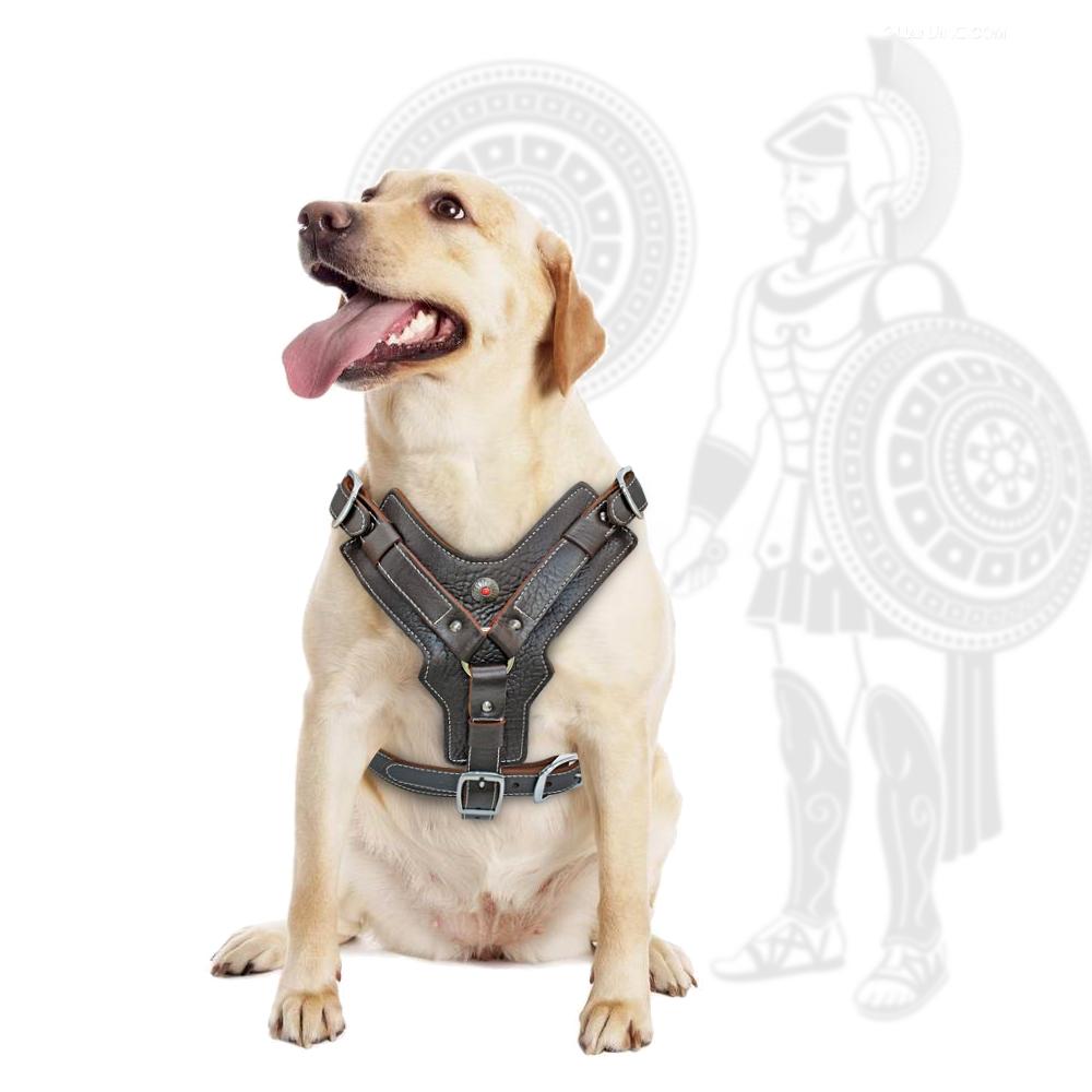 Genuine Leather Dog Harness Durable Large Dog Harness Real Leather Quick Control Dog Vest Harnesses With Handle For Big Dogs