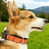 Dog Collar Reflective Adjustable Senior Pet Magnet Neck Collar For Travel Holiday Training Living Room Night Walking Camping