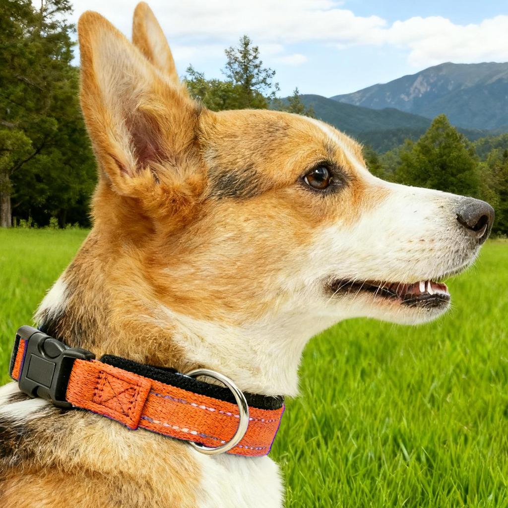 Dog Collar Reflective Adjustable Senior Pet Magnet Neck Collar For Travel Holiday Training Living Room Night Walking Camping