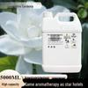 Aroma Essential Oil Diffuser: Commercial Fragrance Machine with 5L Refill for Hotels and Clubs