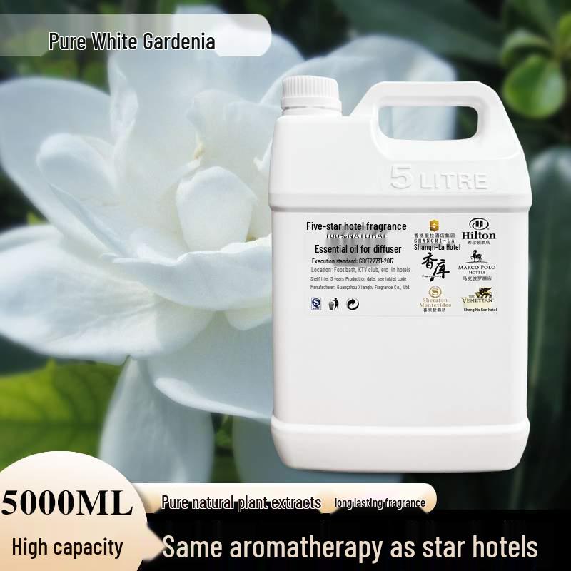 Aroma Essential Oil Diffuser: Commercial Fragrance Machine with 5L Refill for Hotels and Clubs