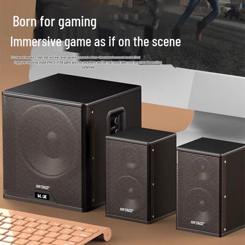 SAST A20 Home KTV Multimedia Speaker System