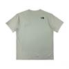 The North Face Misty Logo Short Sleeve Round Tee Nt7ur13