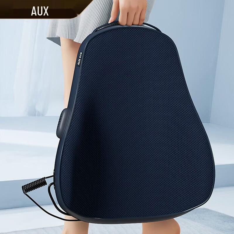 Aux Waist and Back Massage Cushion