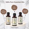 Détox – Huiles essentielles de pamplemousse, citron, menthe poivrée Aromathérapie et diffuseur