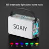 Suoai K55 Portable High-Power Karaoke Speaker