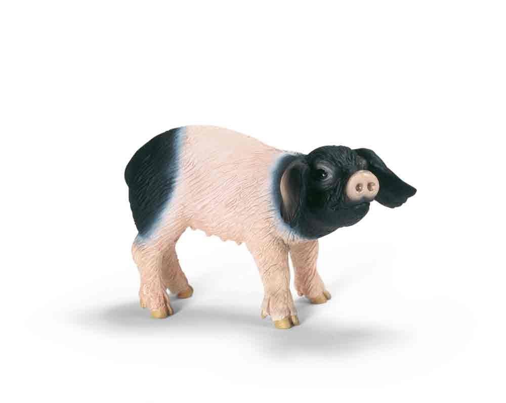 

Schleich Farm World Swabian Haar Pig (Baby) Figure 13636