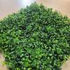 Eternal Life Artificial Eucalyptus Carpet Flower Artificial Fern Grass  Home Garden Fence