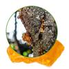Quality-Rosin Resin For Violin Viola Cello String Musical Instruments Accessory