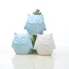 New Japanese And Korean Animal Flower Pot Series, A Variety Of Creative White And Blue Small Flower Pot Ornaments, Owl Succulent Pot
