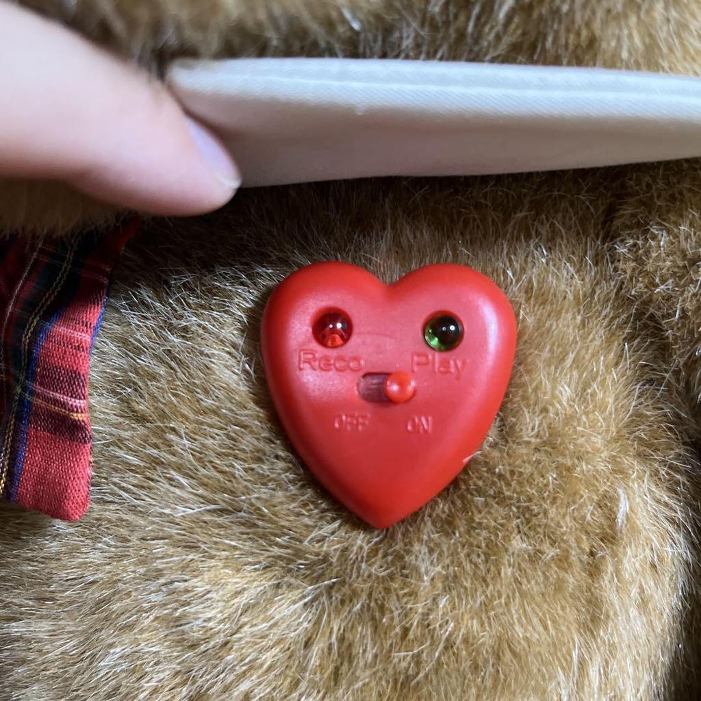 [USED] Nakajima Paku Paku Talk Plush Toy Teddy Bear Voice Message