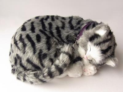 Peluche Gatto Tigrato Ninian e Kino Pet Perfetto Realistico e Regalo Perfetto per Peluche (Piccolo) Giocattolo, Realistico, Celebrazioni, Animale, Rilassante, Mobile, Carino,