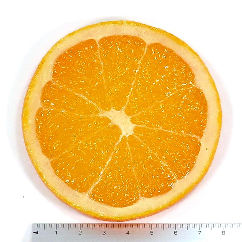 Fruit Coaster That Looks Like It Could Be Eaten, Orange, Small, 209FC