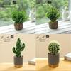 Creative Wooden Basin with Artificial Green Plant Bonsai Ornament for Display and Decoration.