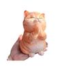 Cartoon Animal Cat Shaped Squeeze Toy Colorful Artificial Doll Squeeze Toy  Ornaments