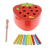 Wooden Magnet Fruit Bug Game Toy, Montessori Intellectual Game, Kids Toddler Developmental Toy-
