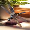 Creative DIY Mini Assembly 3D Metal Puzzle - Insect Series Color Dragonfly Model for Teens 14+ and Adults Gift