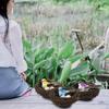 1 Set Artificial Bird Decorative Lightweight Simulation Bird Nest Set Home Decor for Courtyard Garden