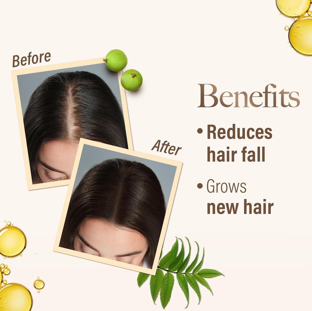 Kesh King Ayurvedic Hair Oil For Hair Fall Control & Growth 100ml Pack | Scalp Nourishment & Thick Hair Care Oil