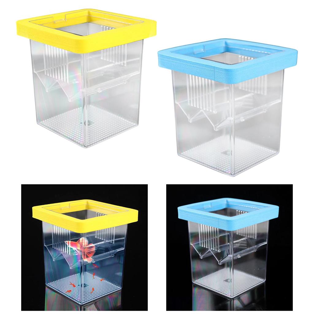 Breeder Box for Fish Tank Mini Fish Fry Isolation Case Incubation Box Hatching Box for Shrimp