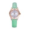 Girls Quartz Casual Watch Round Face 28mm PU Leather Strap Japanese Movement Arabic Numerals Water Resistant Green Belt Gold Case