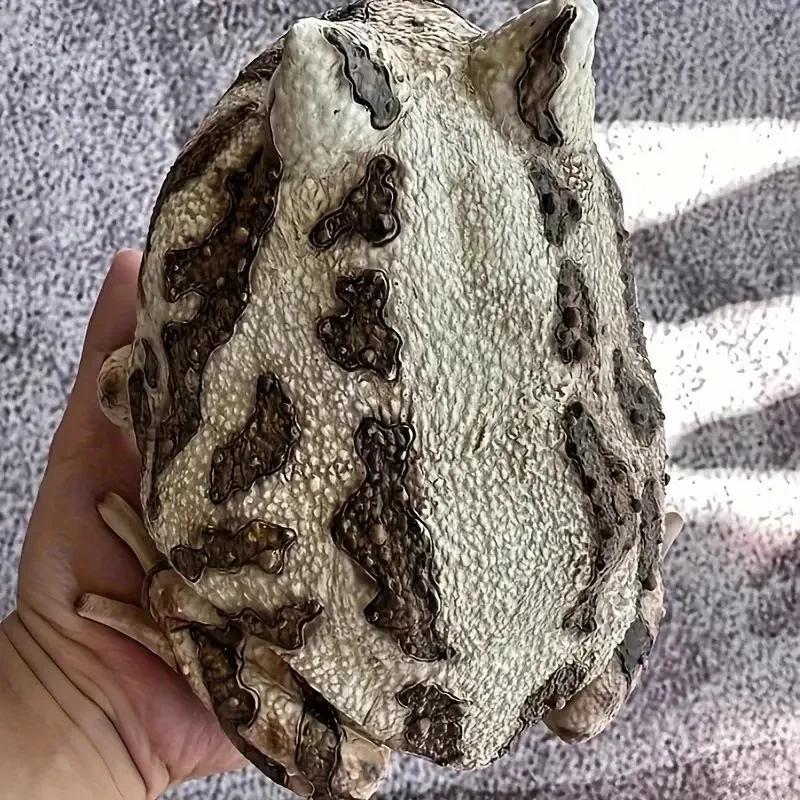 New Product Creative Simulation Frog Resin Craft Courtyard Decoration Animal Model Ornament Desk Decoration Home Accessories