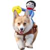 Cowboy Knight Pet Riding Outfit Costume for Cats and Dogs