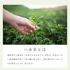 Yamecha Grüner Tee Sencha 100g SS-12 (Zinnober) Yamecha no Sato