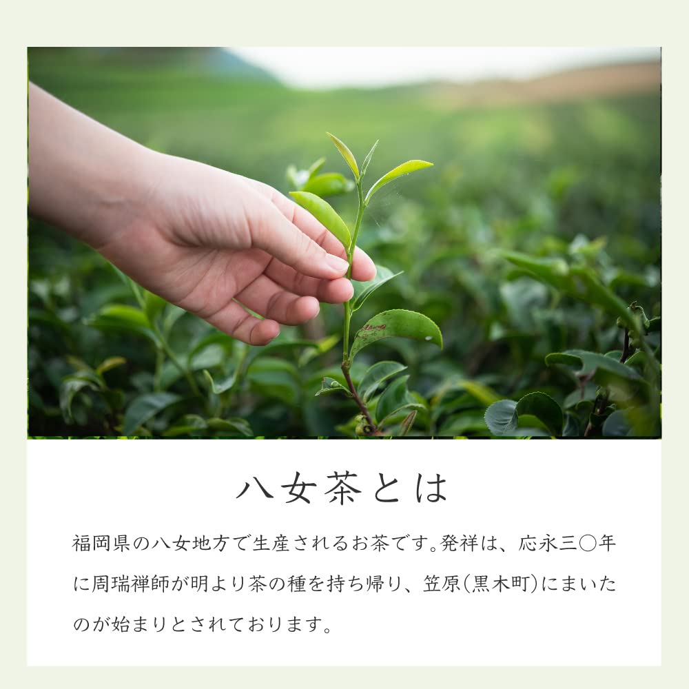 Yamecha Grüner Tee Sencha 100g SS-12 (Zinnober) Yamecha no Sato