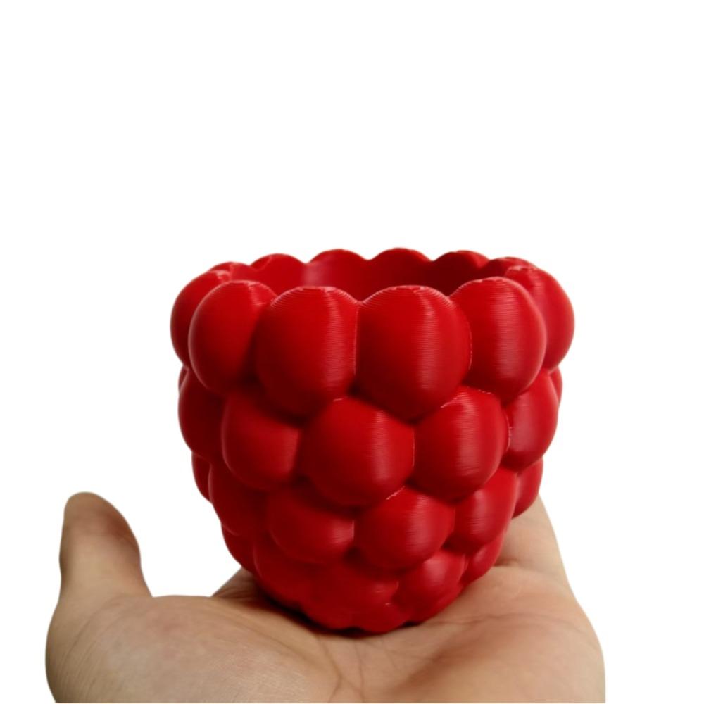 3D Printed Fruit Flower Pot Plastic Flower Container Versatile Planter Holder Placement Easy