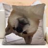 New Funny Shiba Inu Pillow Case Cute Cartoon Dog Cushion Cover For Bedroom Living Room Home Decorative Pillowcase