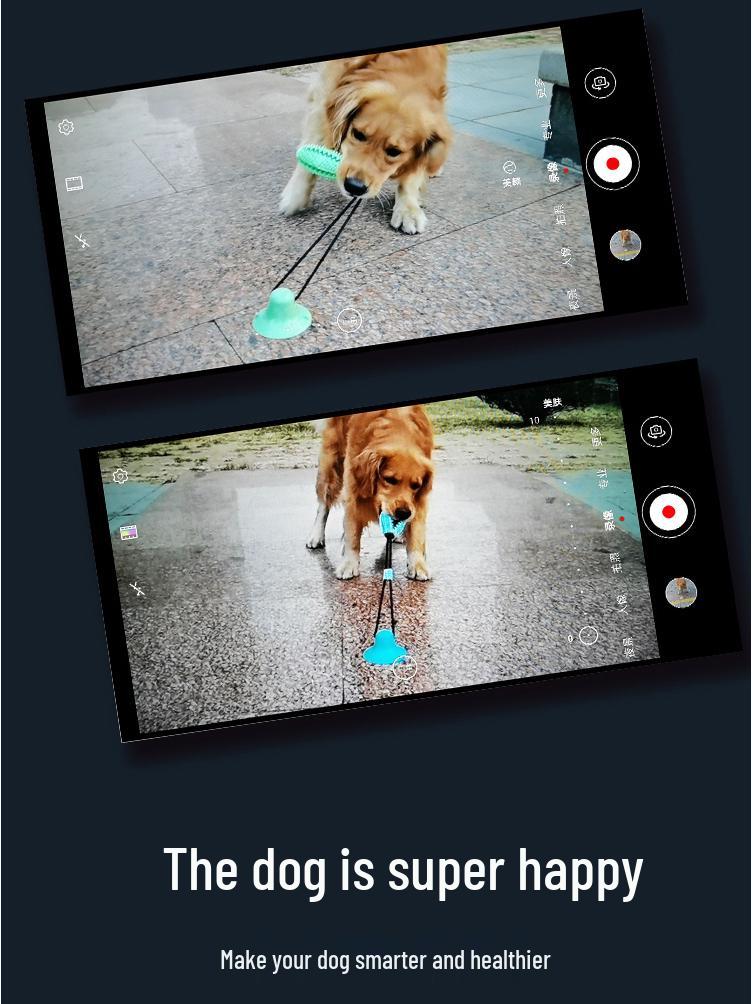 Pet Teething Toy: Bite-Resistant Ball with Suction Cup for Dogs