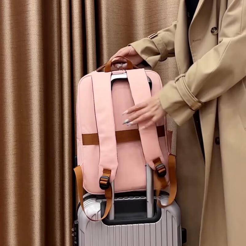 Li Shen Laptop Backpack