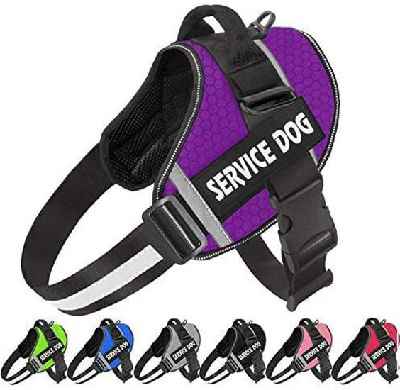 Reflective Pet Harness & Leash - Comfortable Vest-Style Design