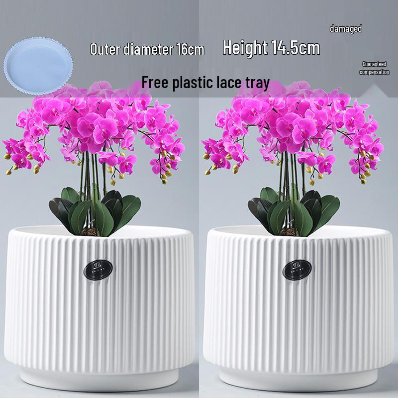Elegant White Ceramic Flower Pot with Tray - Ideal for Ivy, Spider Plants, and Succulents