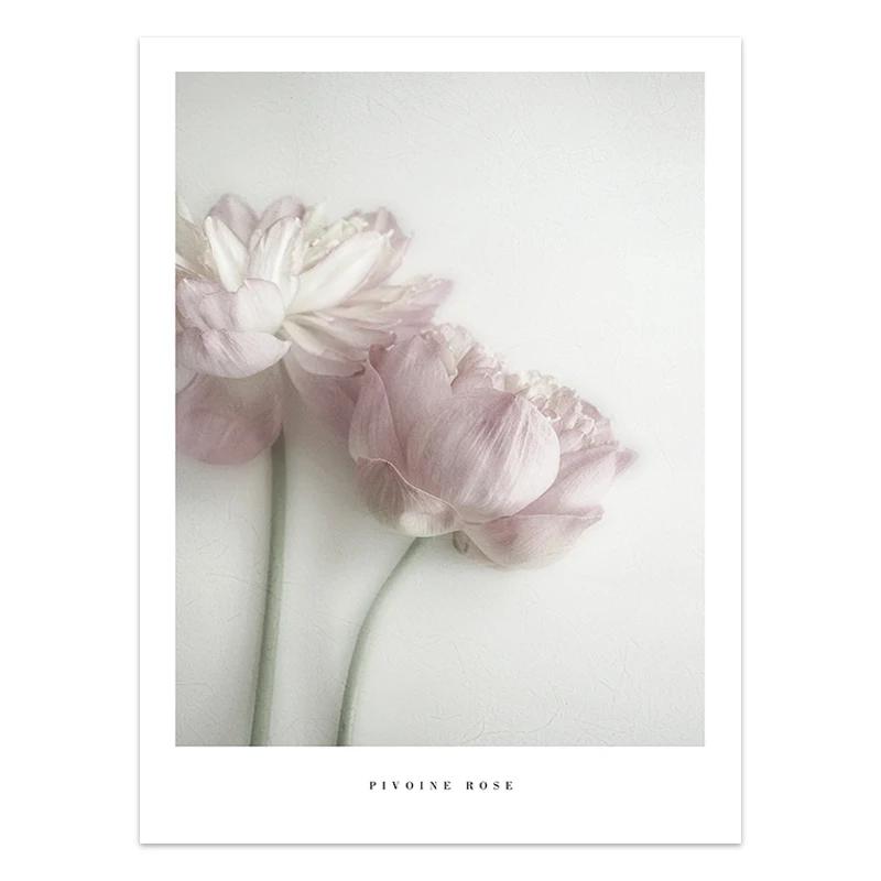 Black and White Flower Posters Print Fresh Canvas PaintingWall Art Feather Dandelion Pictures  Living Room Decoration Wall Decor