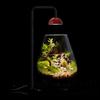 Micro Landscape Plant Growth Lamp Height Adjustable Fish Tank Light Indoor Plant Growth Lamp for Desktop Glass Plant Terrarium