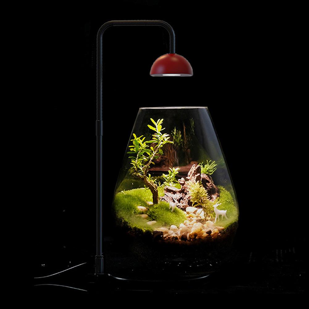 Micro Landscape Plant Growth Lamp Height Adjustable Fish Tank Light Indoor Plant Growth Lamp for Desktop Glass Plant Terrarium