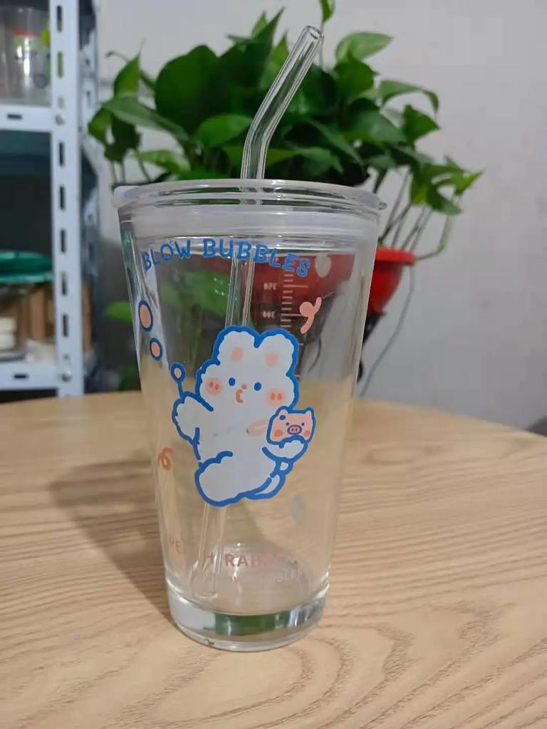 New 480ML Kawaii Glass Straw Cup with Cover Cartoon Water Cup Drinkware Juice Tea Coffee Milk Cup Glass Mugs Gift
