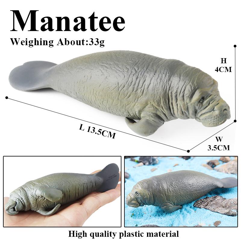 Oenux New Sea Life Seal Sea Lion Orcas Blue Whale Shark Megalodon Dolphin Aquarium Ocean Marine Animals Model Kids Toy Gift