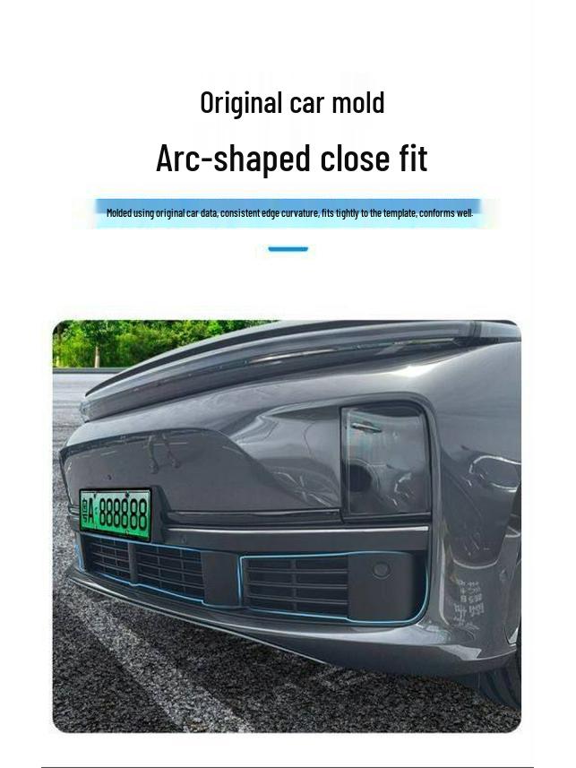 Custom Buckle Black Front Grille and Radiator Insect Protection Net for MEGAL6L7L8L9