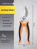 Garden Floral Pruning Shears: Artful Branch, Flower, and Fruit Tree Scissors for Gardening and Fruit Picking